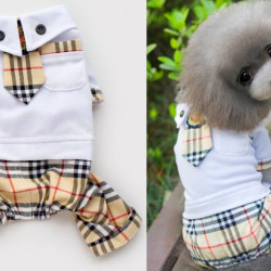 Dogs/Cats Jumper A021 Dogs/Cats Jumper A021