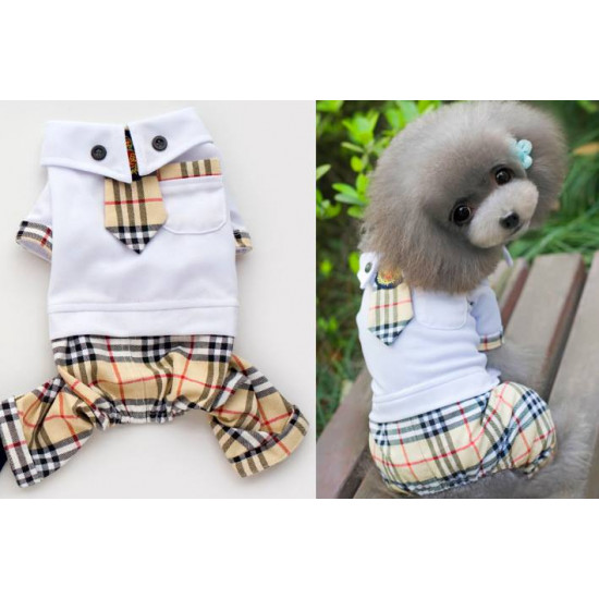 Dogs/Cats Jumper A021