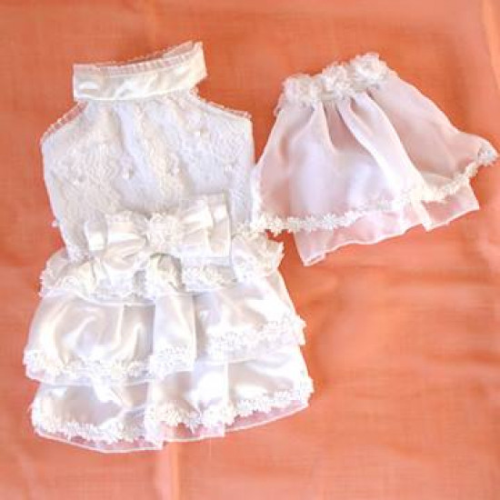 Dogs/Cats Dress A034