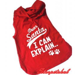Dogs/ Cats Christmas Hoodie A340