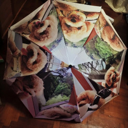 Customized Umbrella for Pets ( Dogs/cats/pets) Customized Umbrella for Pets ( Dogs/cats/pets)