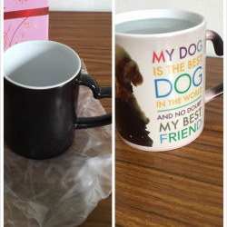 Customized Cup with Cool Effect