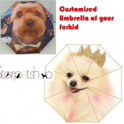 Customized Umbrella for Pets ( Dogs/cats/pets)