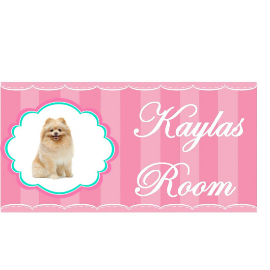 Customized Double Sided Acrylic Door Signage