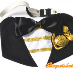 ELEGANT COLLAR FOR PETS MA065