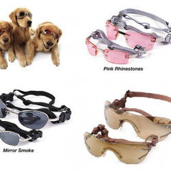 K9 Optix Eyewear for Pets K9 Optix Eyewear for Pets