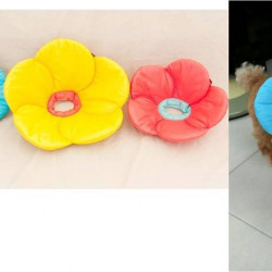 Cool Flower E-collar Design for Pets 