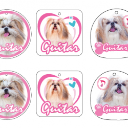 Cool Personalized Pet Tag with Photo 