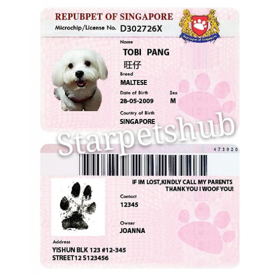 PET OWNER MATCHING ID CARD PET OWNER MATCHING ID CARD