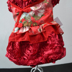 Chinese New Year Dog Clothes FS097