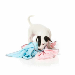 FuzzYard Microfibre Drying Towel for Puppies