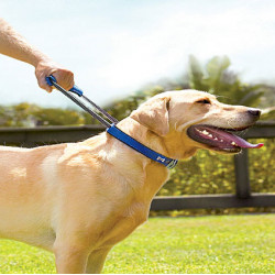 PatentoPet® Prenium collars