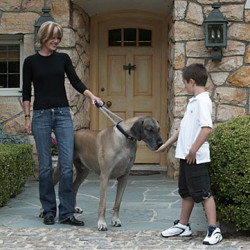 PatentoPet® Prenium collars PatentoPet® Prenium collars