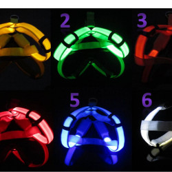 Cool LED Pet Harness 