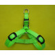 Cool LED Pet Harness 
