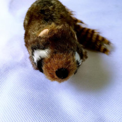 PET TOYS PT016