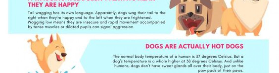 Amazing fun facts about dogs